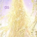 菟丝花模拟器