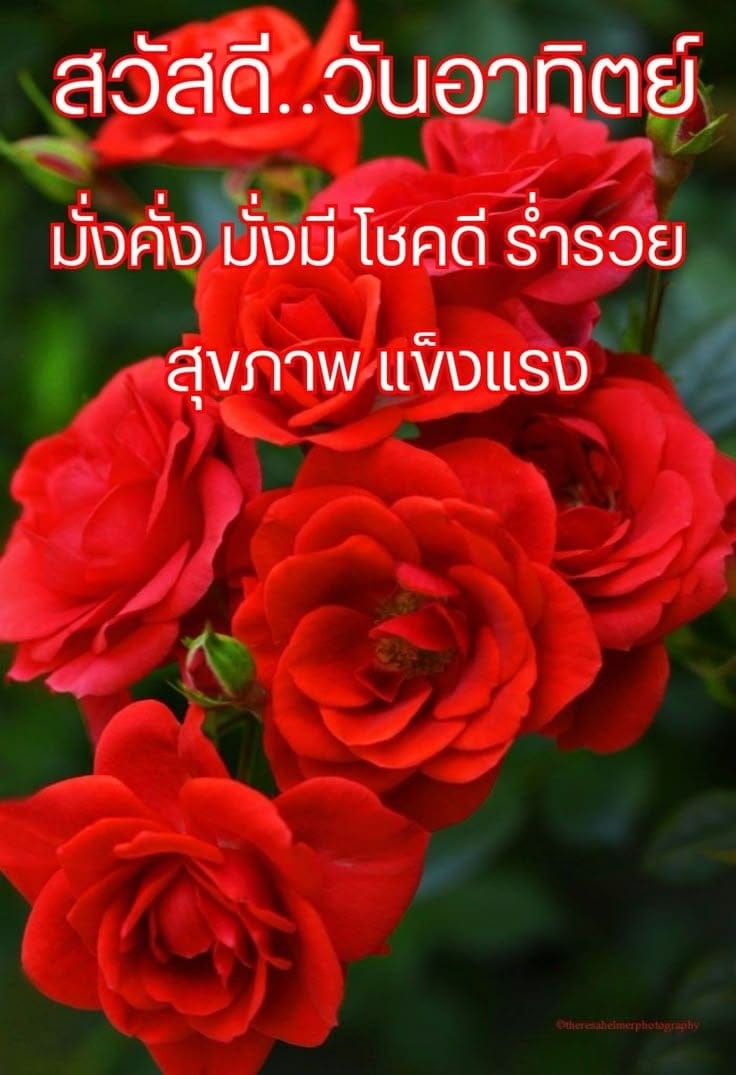 Comment 1