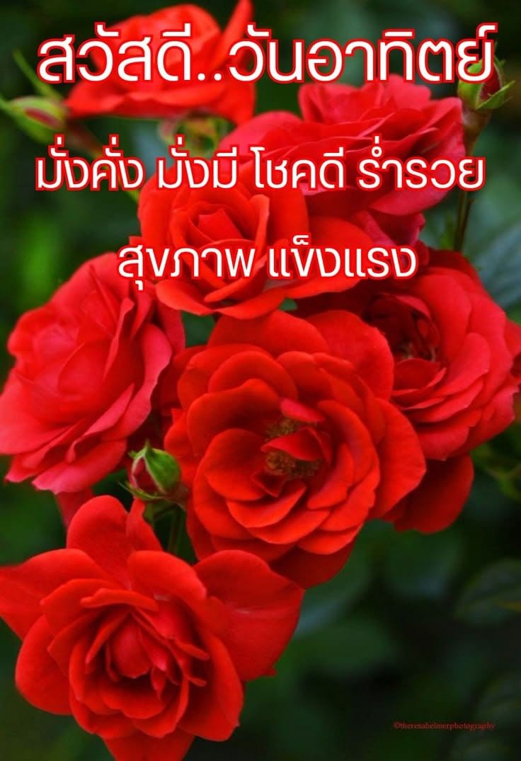 Comment 1