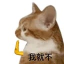 Ada