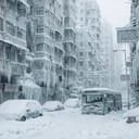 ❄️极寒浩劫❄️🔹改