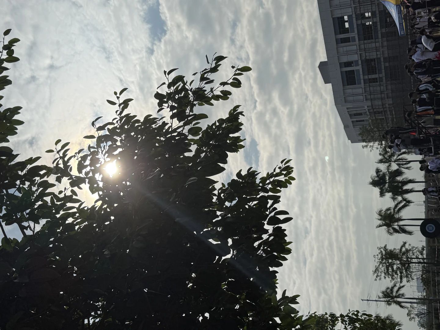 崔景煜