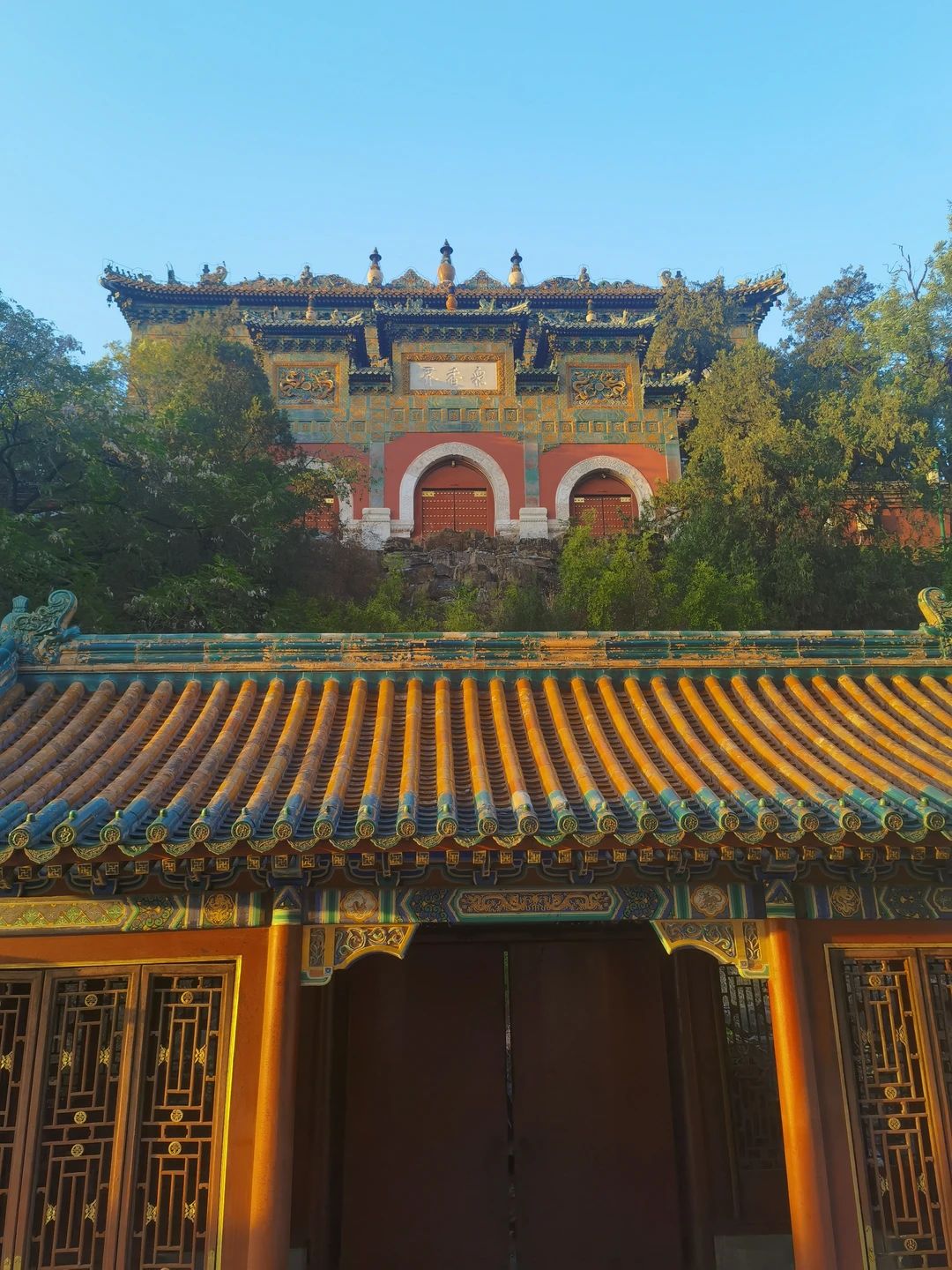 个人全能文本助手