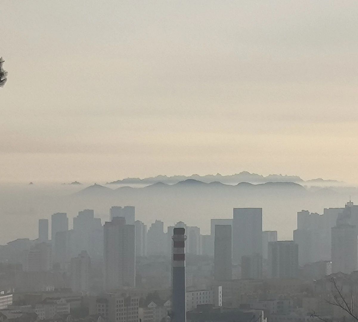 殡仪馆怪谈模拟器