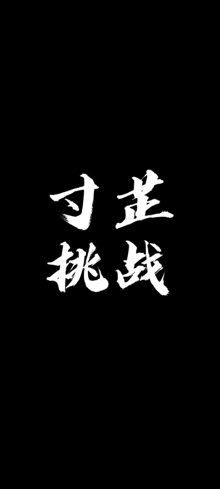 寸芷挑战