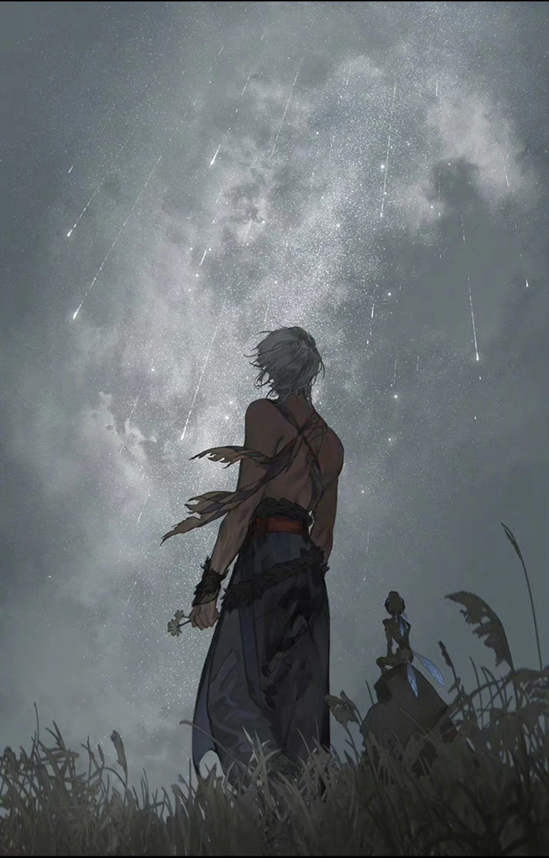 武朝4+1