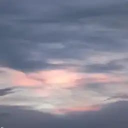 沈言洛