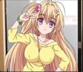 三井花