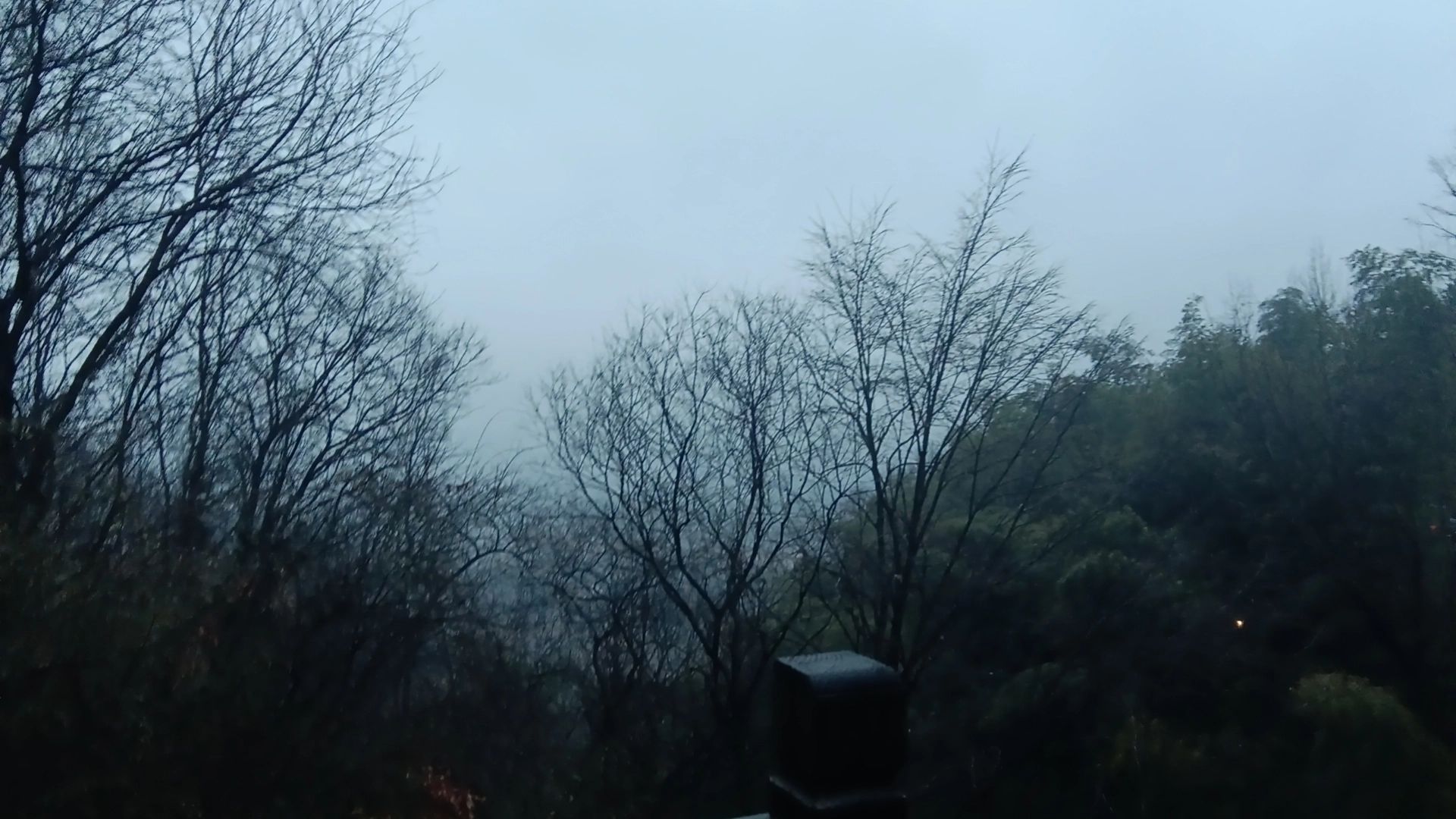 洛伊斯·埃忒斯