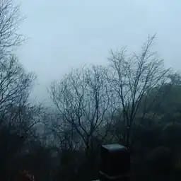 洛伊斯·埃忒斯