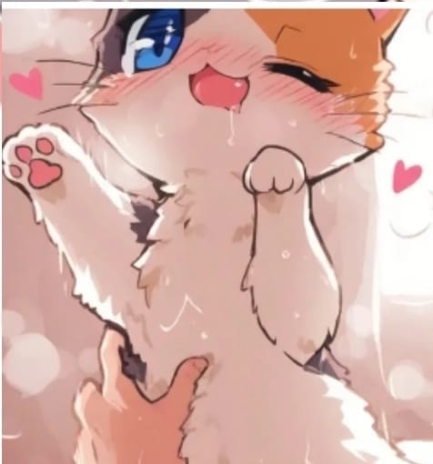 Kitten