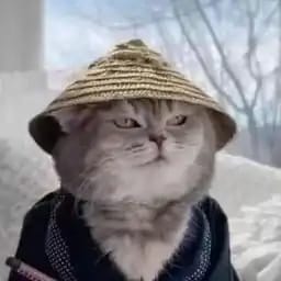 十连大保底真君