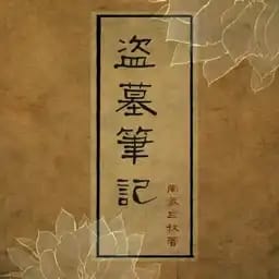 dmbj模拟器