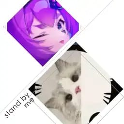 猫猫头