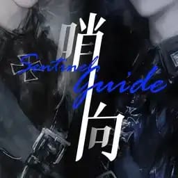 哨兵2+1