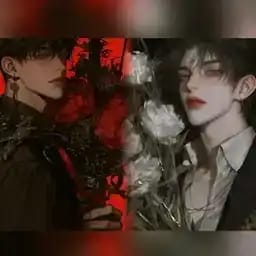双月2+1