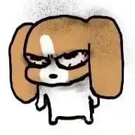 AN