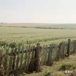 各种故事大杂烩