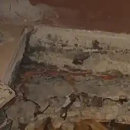 伊魯卡