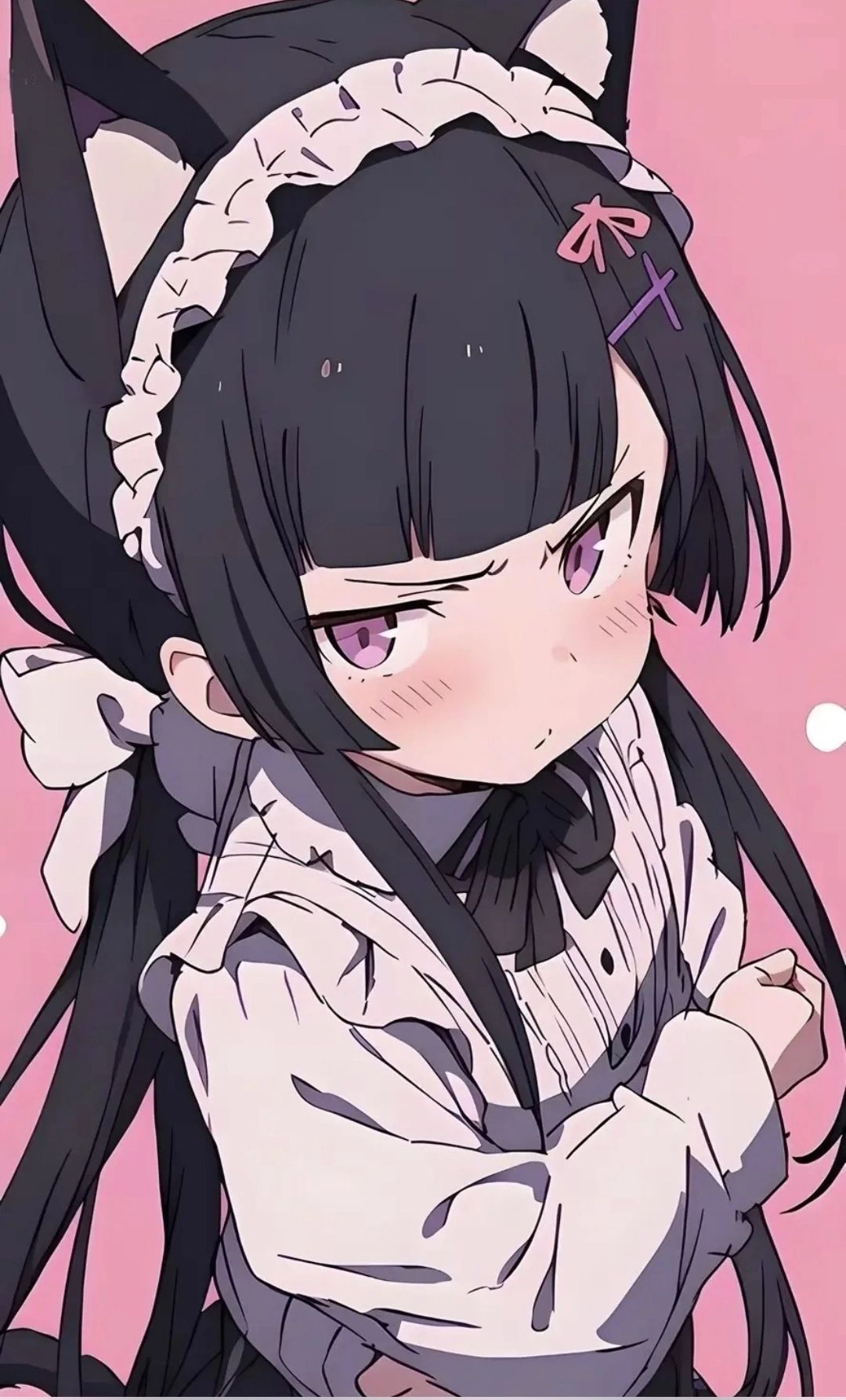猫猫