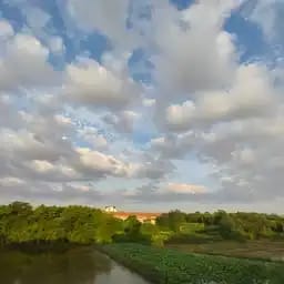 柳如烟