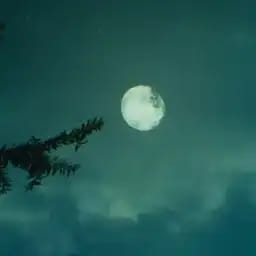 设定生成器