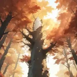 创造世界