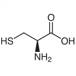 mr.test