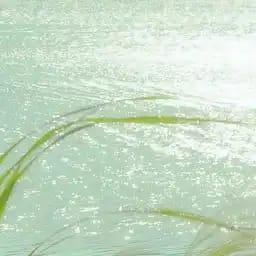 点击进入游戏