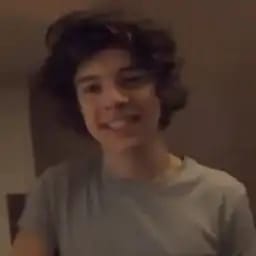 harry styles