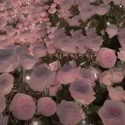 ּ ֶָ֢.Bot୨ৎ