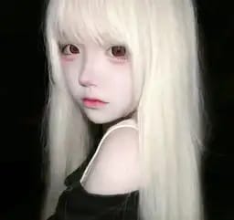 晓桉