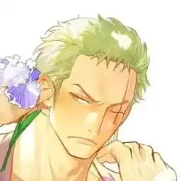 Zoro