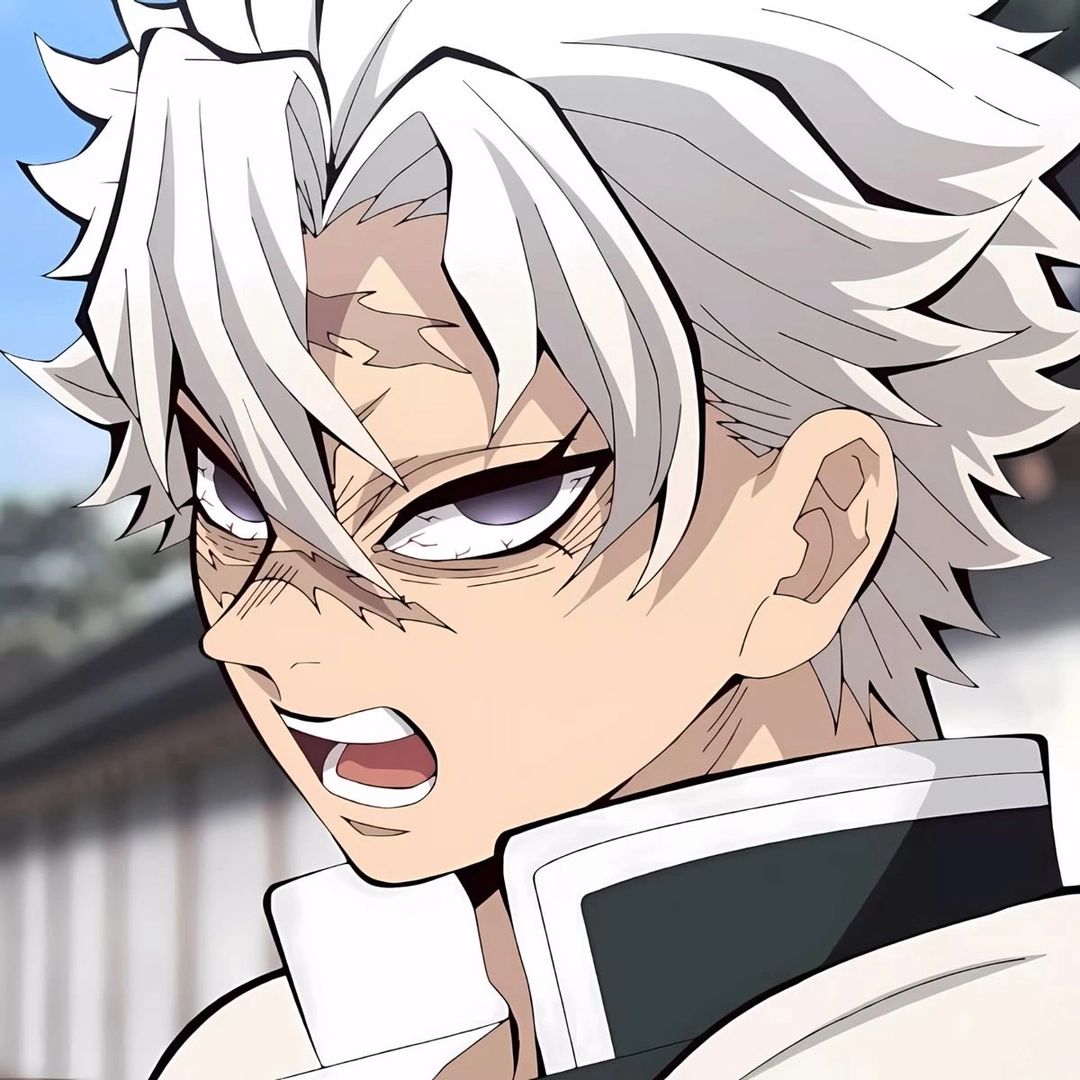 Shinazugawa Sanemi |KNY