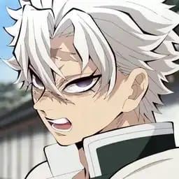 Shinazugawa Sanemi |KNY