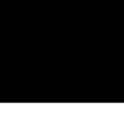 村