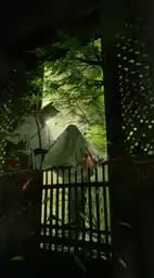 沈泽春