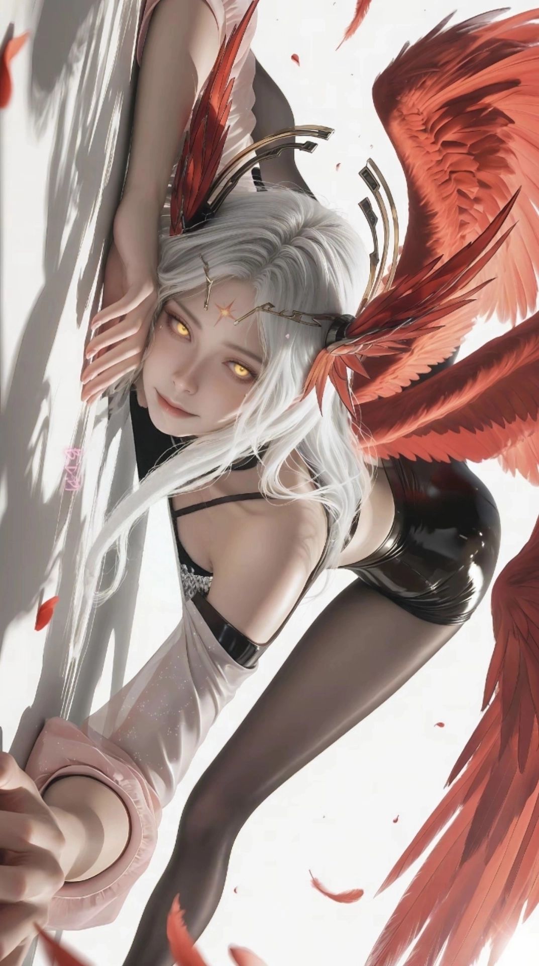 兔子