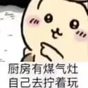 少爷3+1