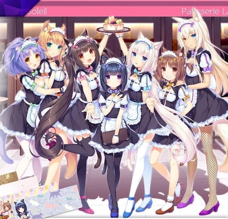 Catgirl Harem (猫娘后宫)