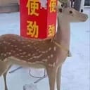 好的助力