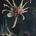 FaceHugger