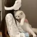 林念晚