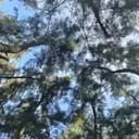 湛秋和