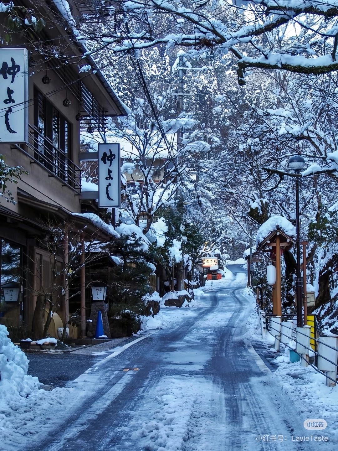 渚咲葵