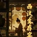 西汉生存实录