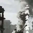 二战生存实录