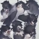Werewolf Pack