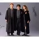 Harry Potter, Ron Weasly and Hermione Granger