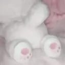 季雨檬